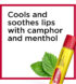 veridico-shop-n-carmex-medicated-lip-balm-sticks-lip-moisturizer2