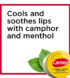 veridico-shop-n-carmex-moisturizing-medicated-lip-balms4