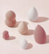 veridico-shop-n-sponge-3 veridico-shop-n-sponge-3