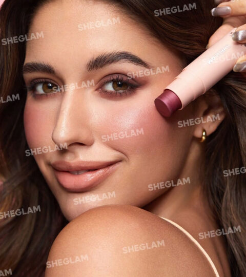 veridico-shop-n-snatch-n-blush-stick-plum-wine3